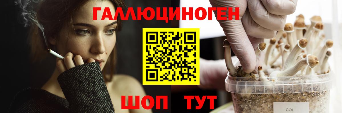Псилоцибиновые грибы ЛСД  где купить наркоту  Йошкар-Ола  Вход с VPN  Псилоцибиновые грибы Psilocybe 